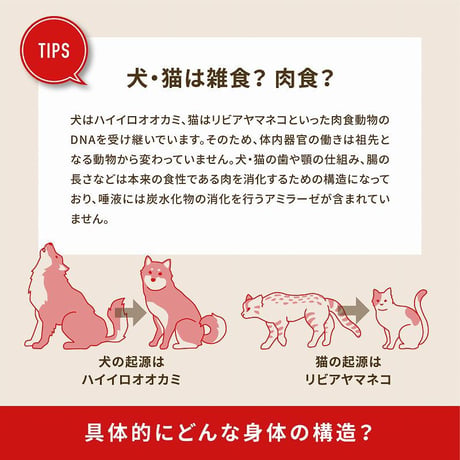 ACANA Cat  ワイルドプレイリー 340g/1.8kg
