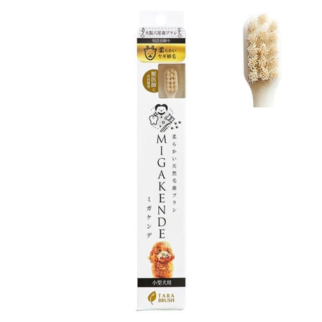 ミガケンデ歯ブラシ 各種