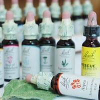 【完全取り寄せ】バッチフラワーレメディー 2本からのご注文