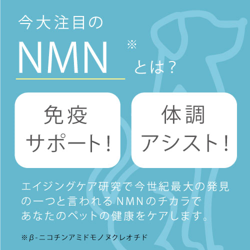 グァンミンさん専用 スケッチバインダー ミニミニサイズ 2024年限定版 | 製品情報