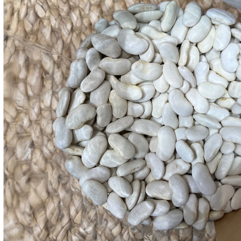 大福豆（おおふくまめ） | マメコト商店