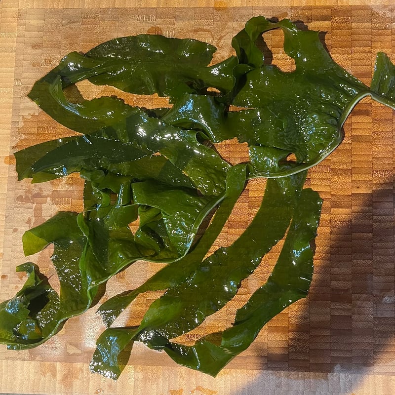 田中海産「水洗いわかめ」 | マメコト商店