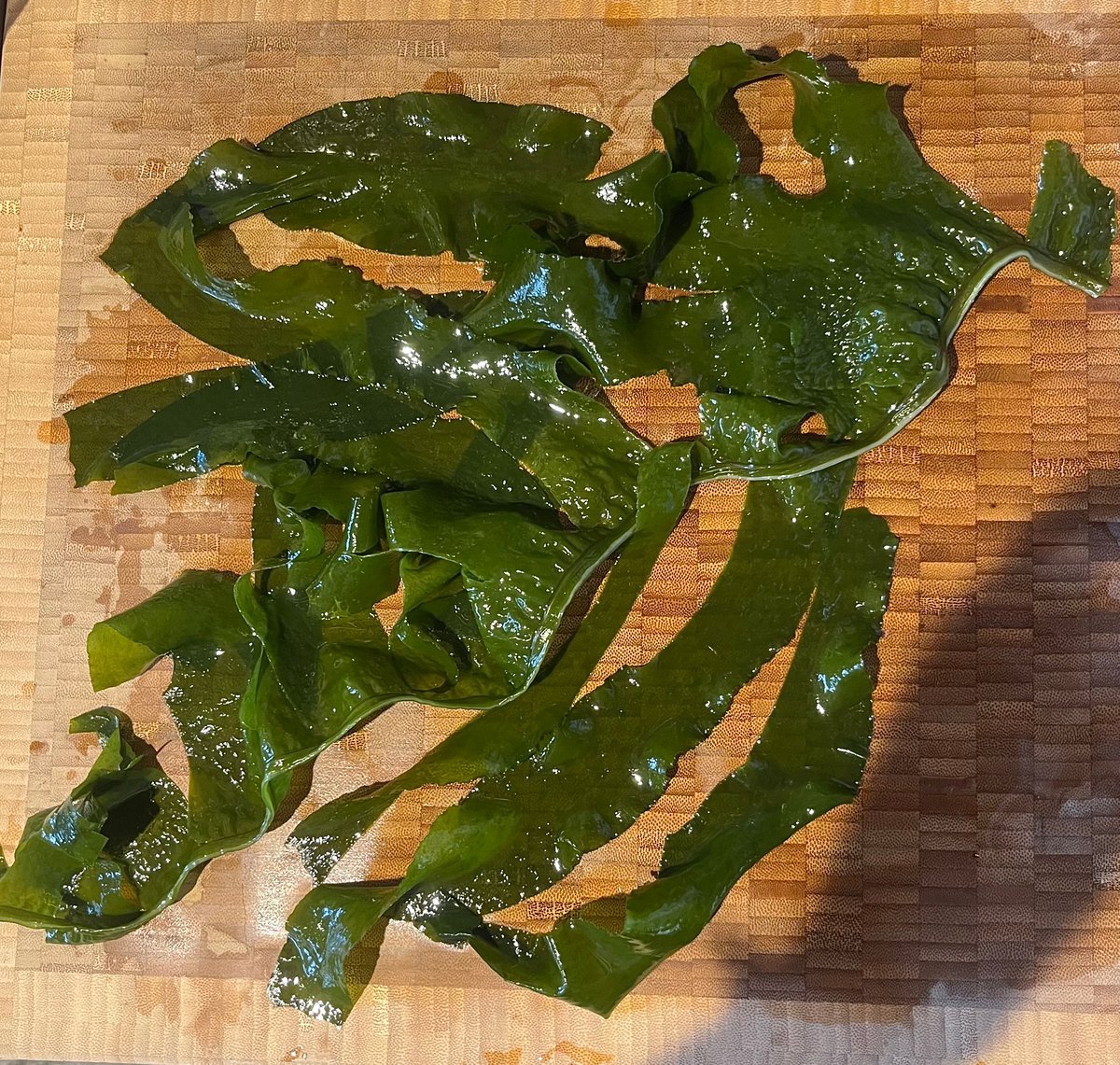 田中海産「水洗いわかめ」 | マメコト商店