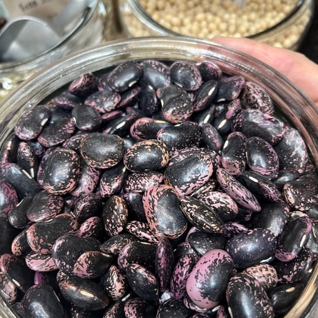 鎌倉小豆 小鳩豆楽（折箱） | オンラインショッピング | 鎌倉の味 鳩