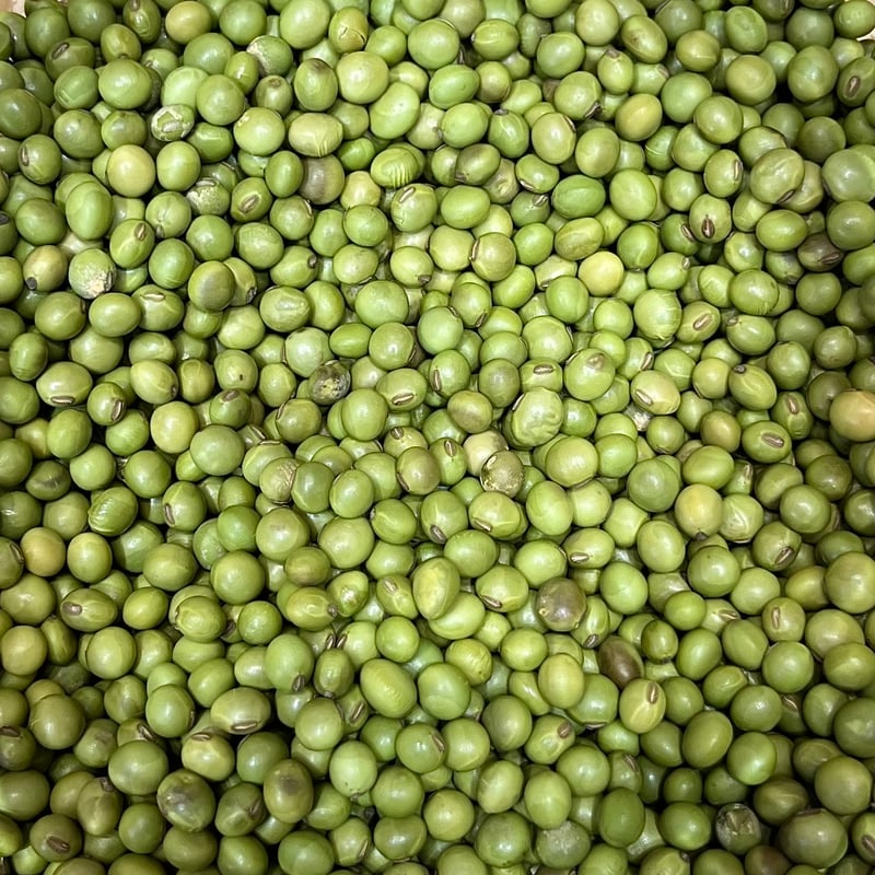小粒青大豆300g | マメコト商店