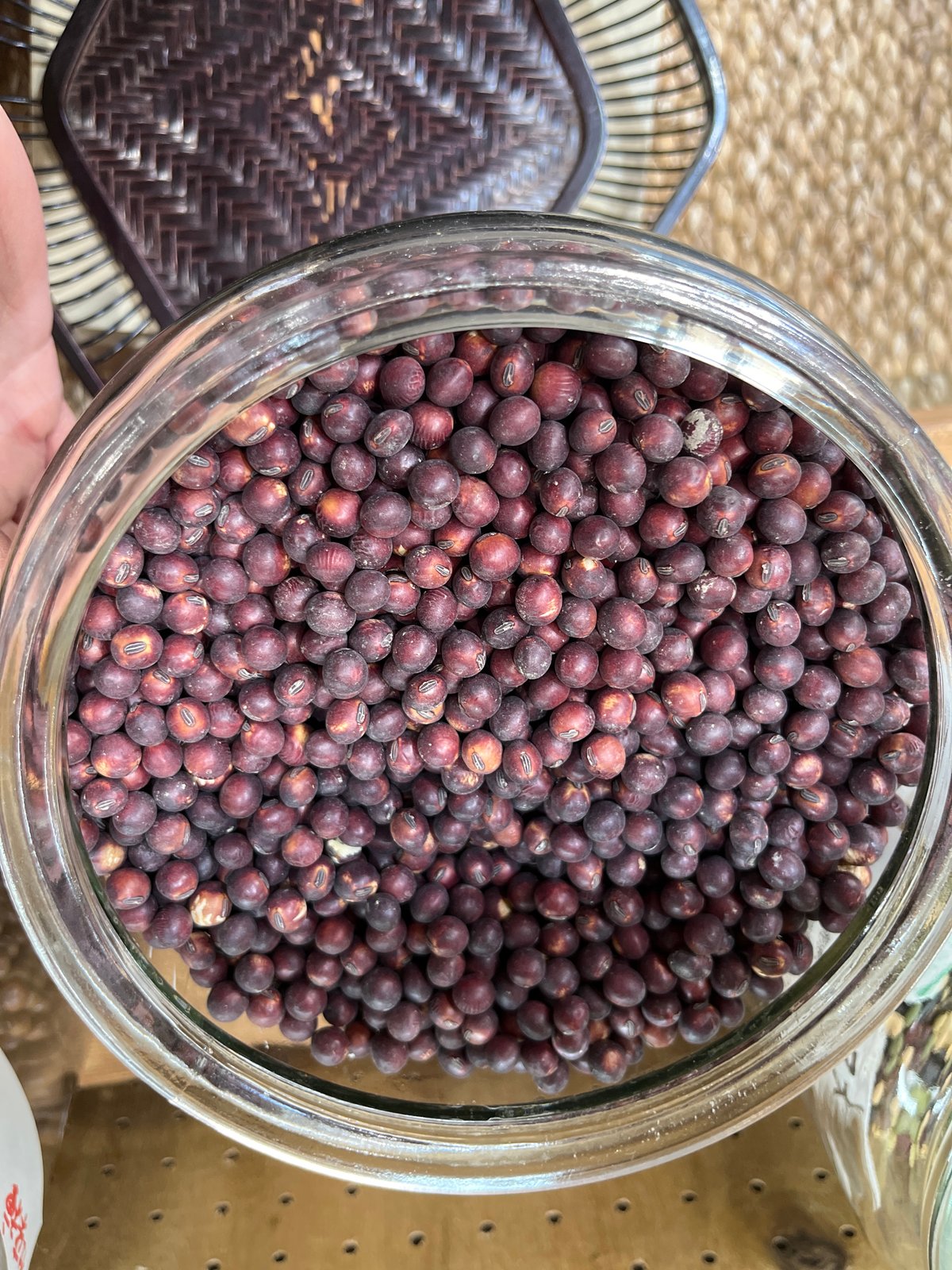 紅大豆 | マメコト商店