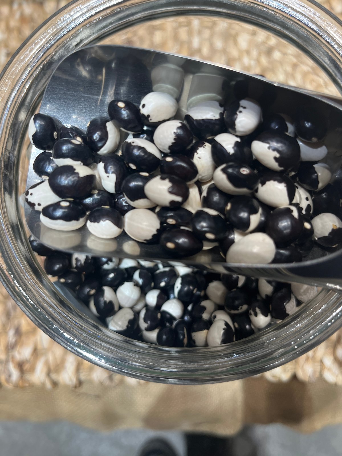 業務用 パンダ豆 25kg