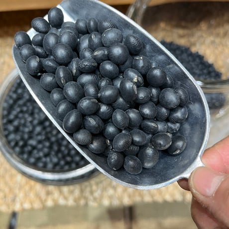 鎌倉小豆 鎌倉まめや CIAL鎌倉店 - 鎌倉・湘南の人気観光地をご紹介！| 【公式