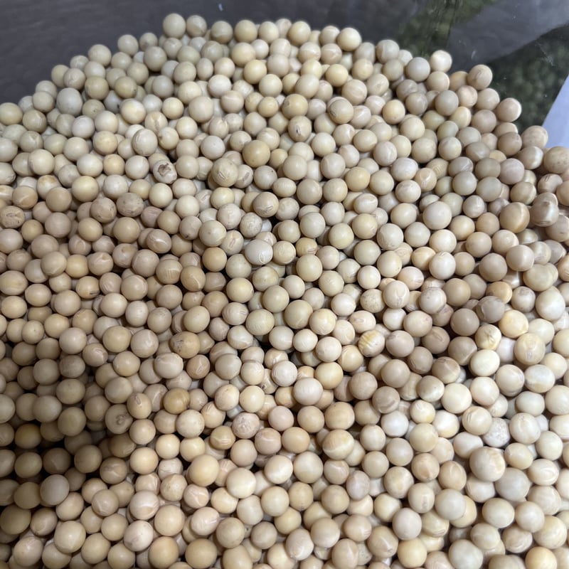 大豆の大豆様す専用 FUTAEDAオンラインショップ】 健康酢大豆 お豆のキモチ 240g