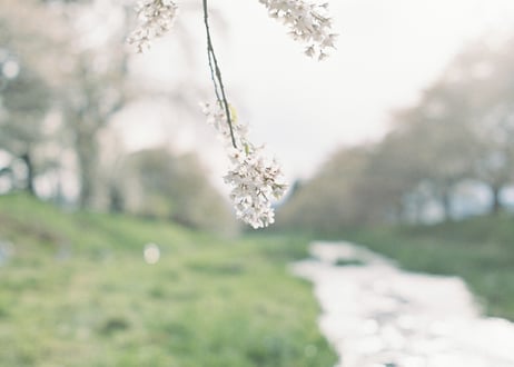 ポストカード【4枚】セット "Seasons"