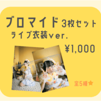 ブロマイド2024 3枚セット