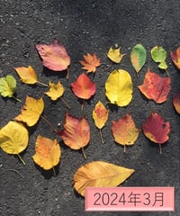 「小謡」の夜咄（2024年3月分）～《藤渡》クセ上端後～