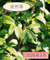 「物語」の広場（2026年3月分）〜『徒然草』を読む〜