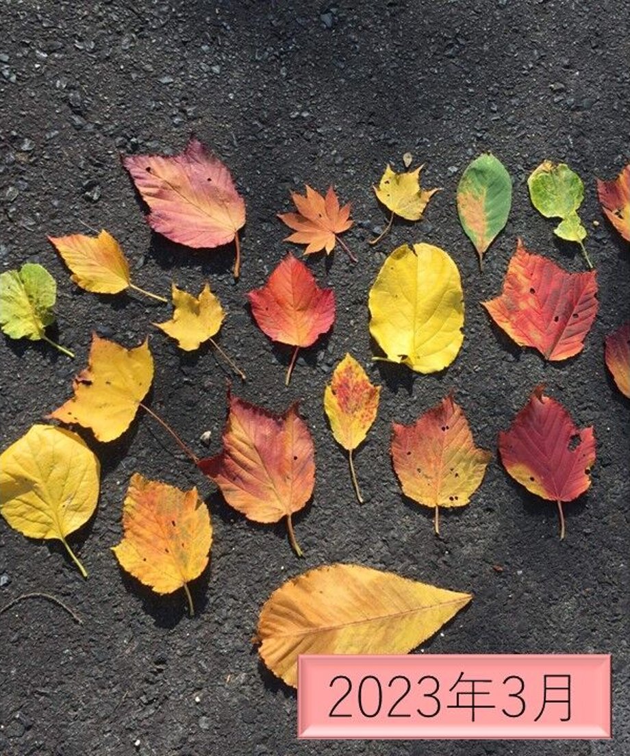 63c4ad6f4405421f830f4813