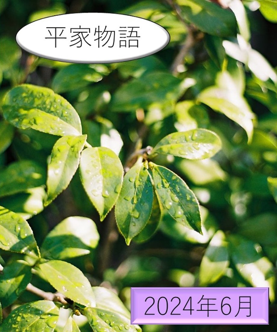 658017cad2ff8f033e678e36