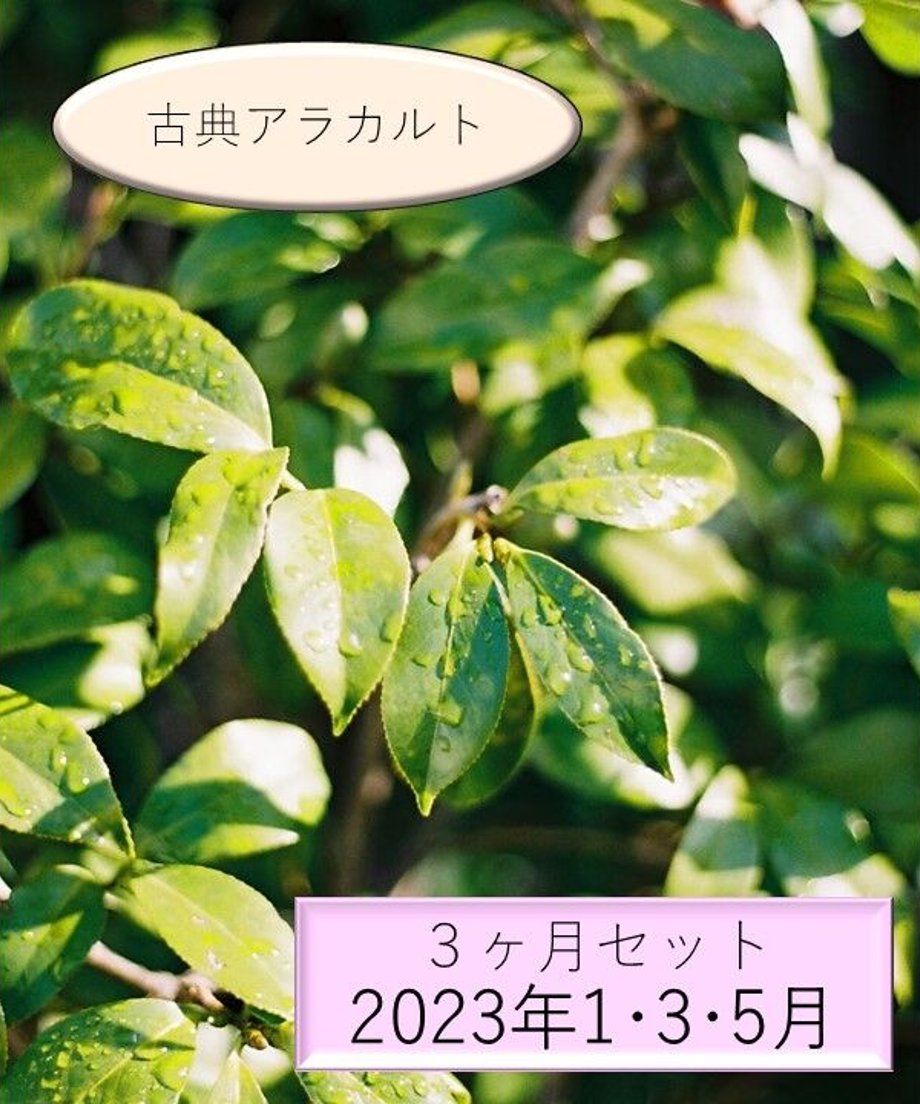 63b31688fd38c9013f17dc3f