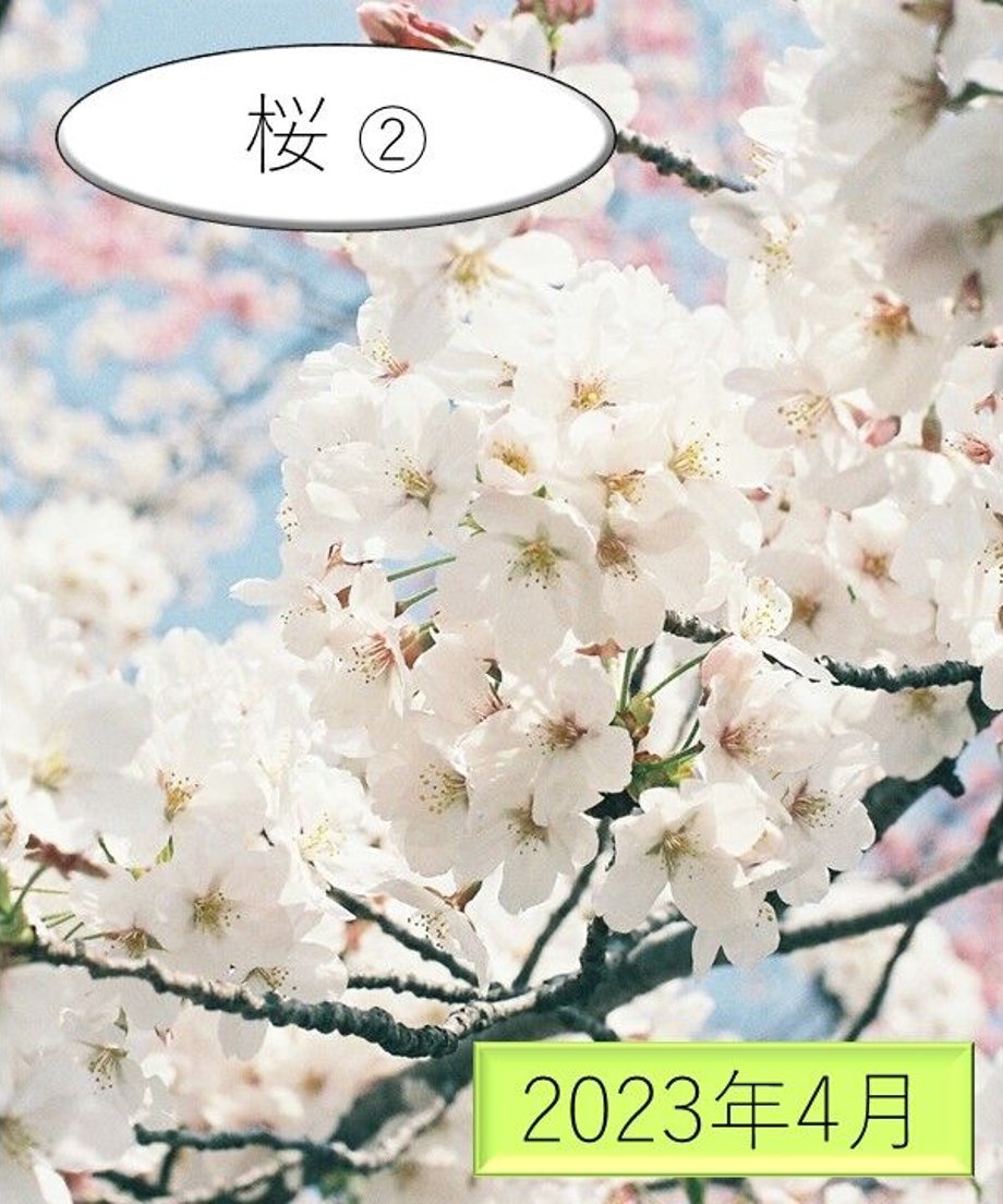 63b3104342935176de4ce070