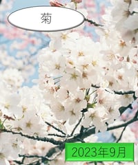 「和歌」の広場（2023年9月分）～菊の和歌～
