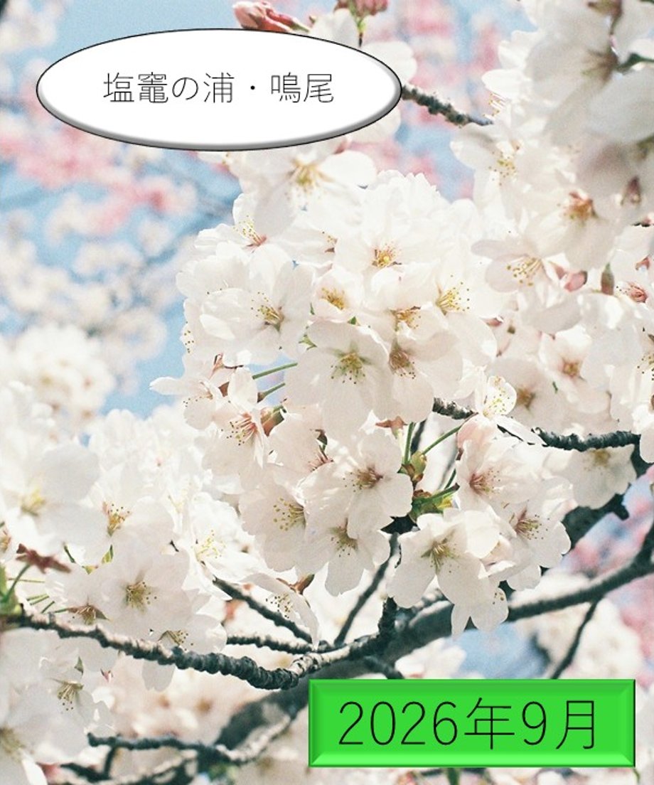 6a41157a9dfb0971fbc07eb7