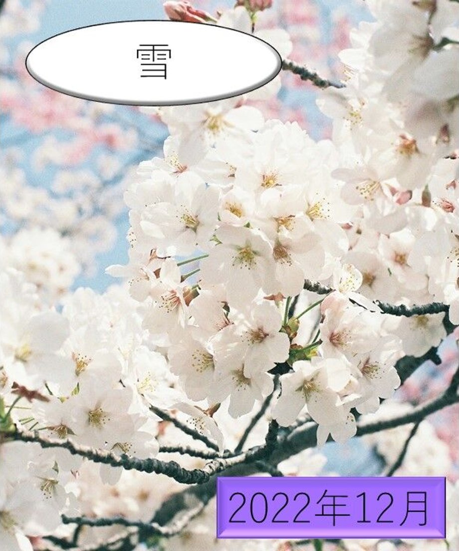 62bc8c2f9b47bf05ece2380c