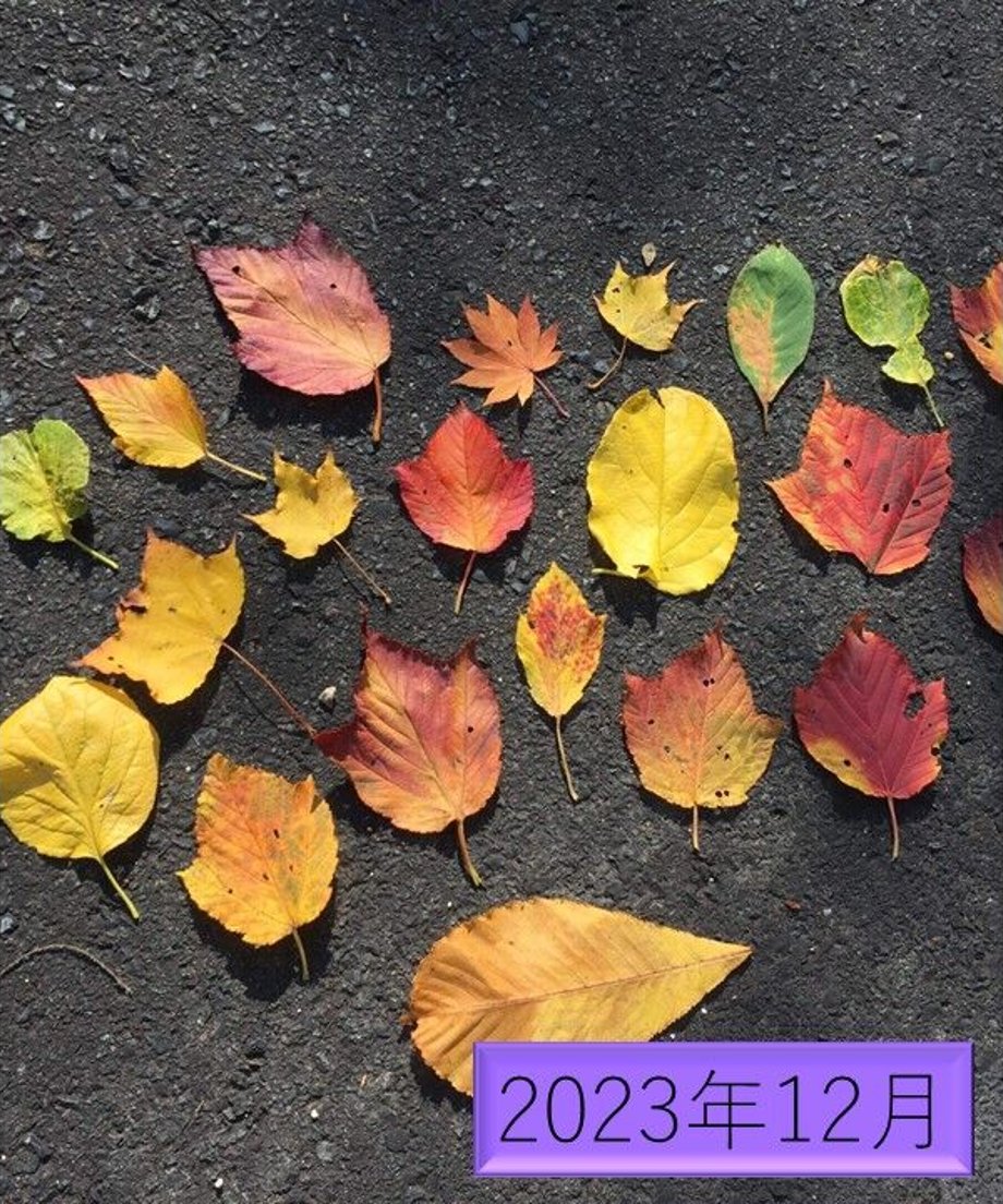 647de86d91f26e0033ed25e7