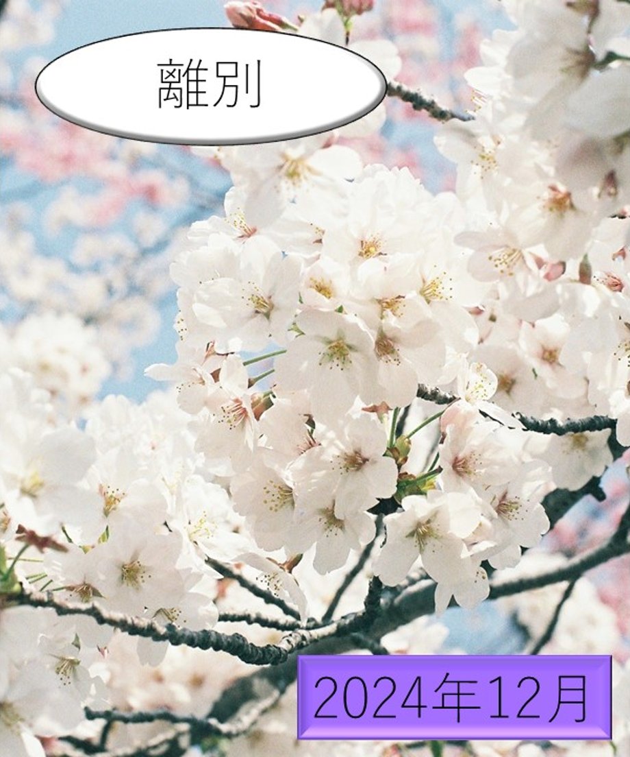 665469cab8b29906bd062672