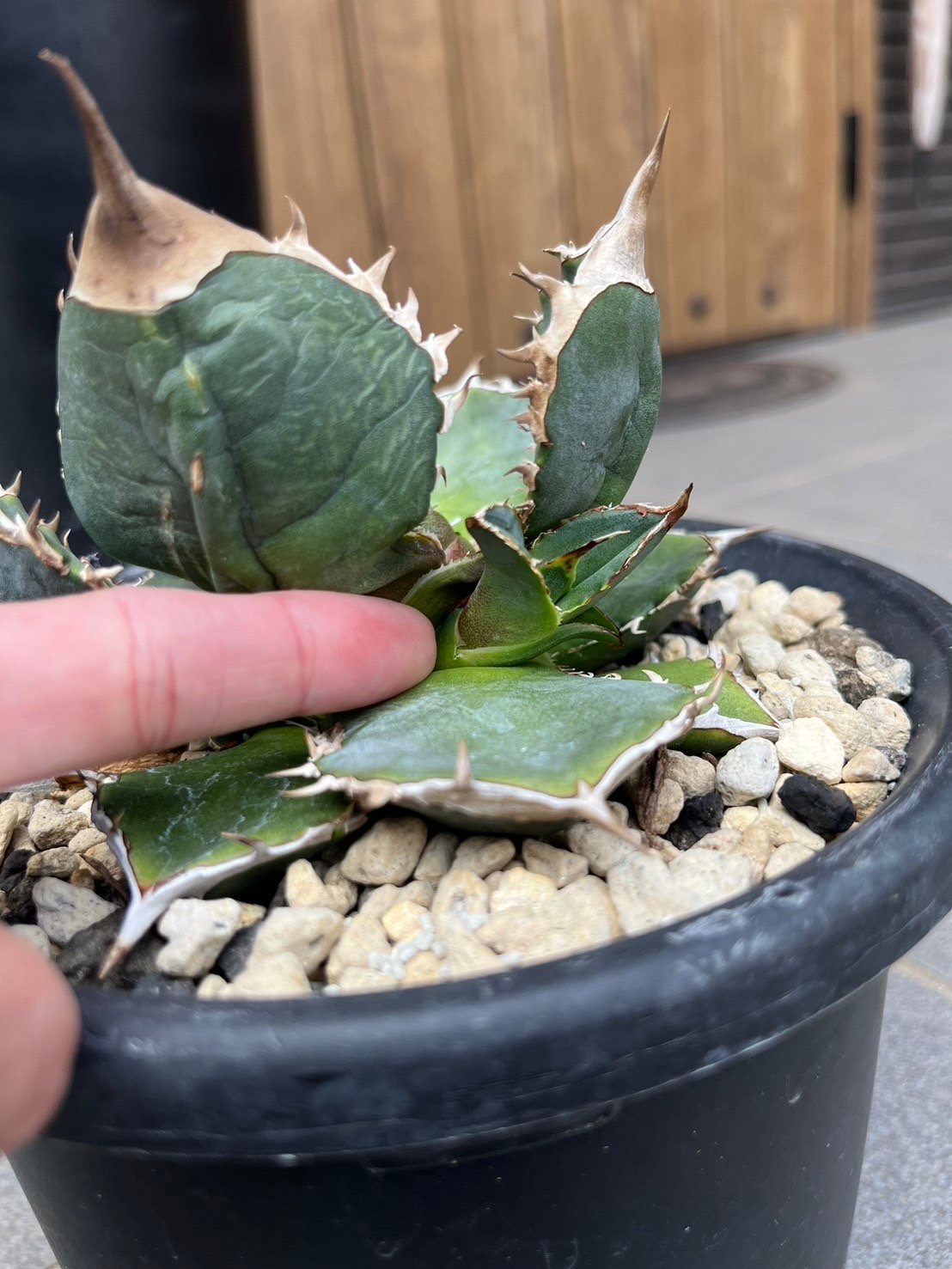 fit=scale-down,w=1200