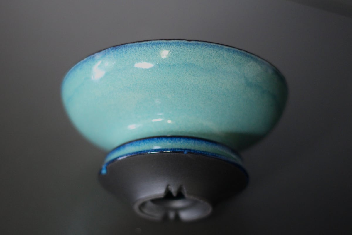 DEEP JICARA (Sサイズ） PLANTS by FRAME 別注限定 | plant