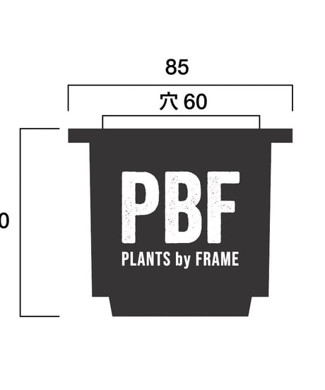 valiem PLANTS by FRAME別注鉢