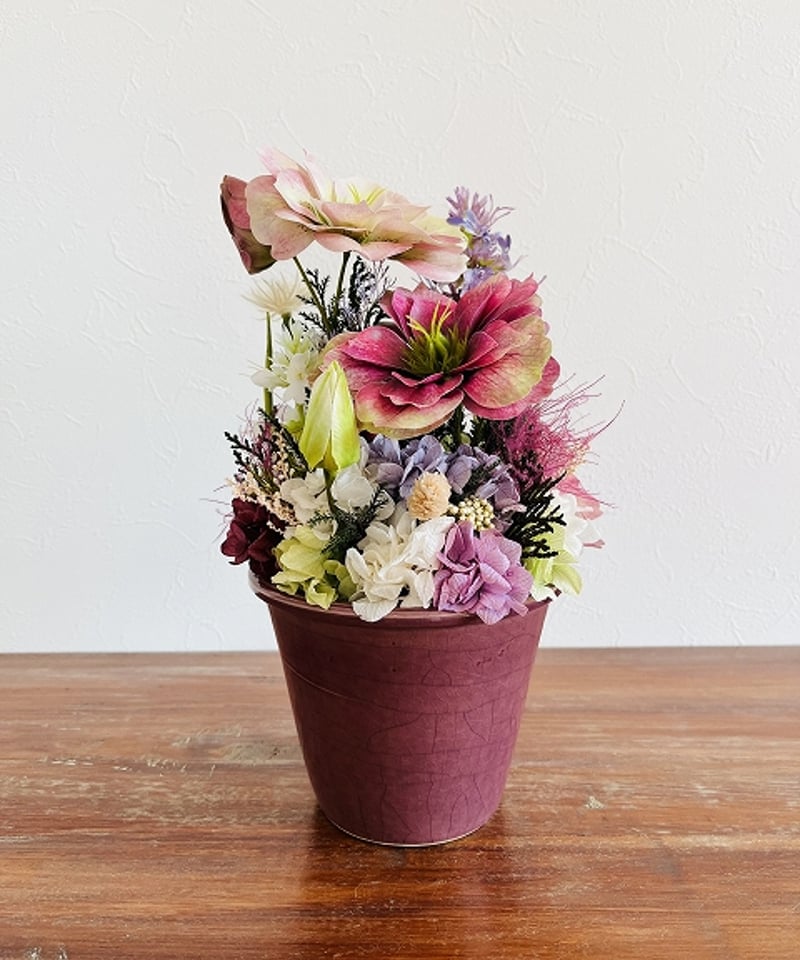 Christmas rose / クリスマスローズ】 МL ヴィオレッタ | Little