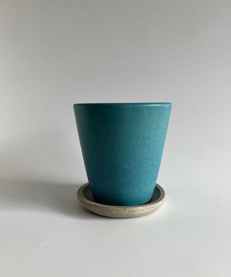 turquoise / ターコイズ   （型/パロット）