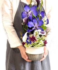 【oh flowers / オーフラワーズ】　Look from all angles   /  Vanda ヒスイラン