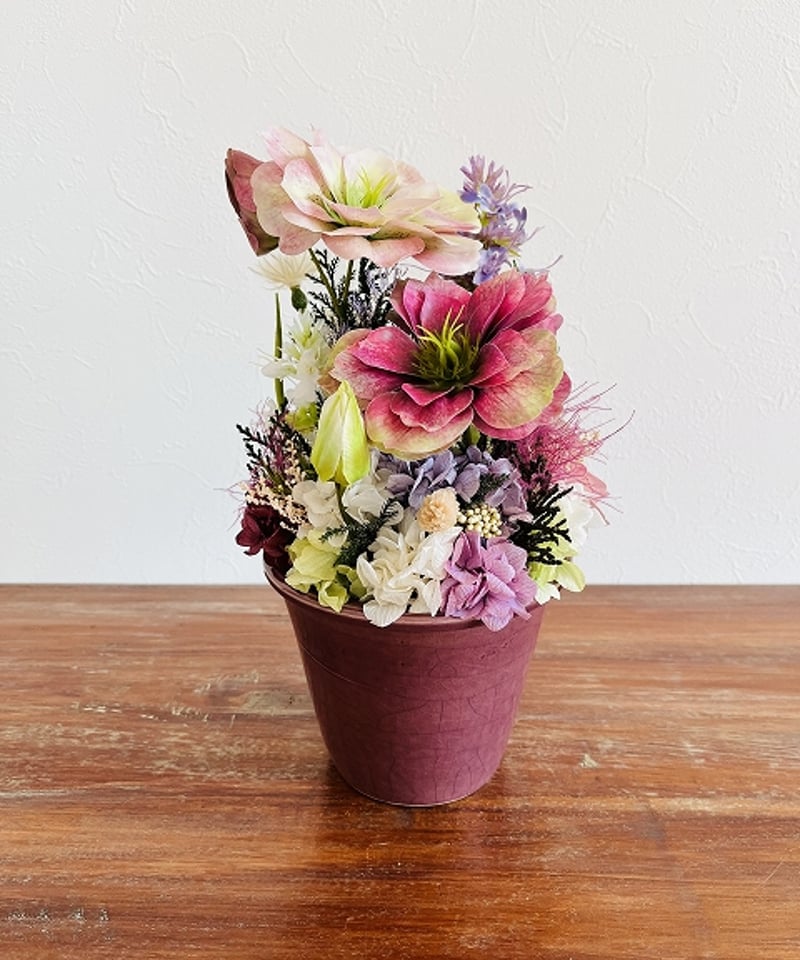 Christmas rose / クリスマスローズ】 МL ヴィオレッタ | Little