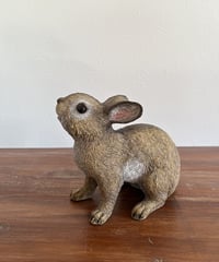 ルックアップラビット