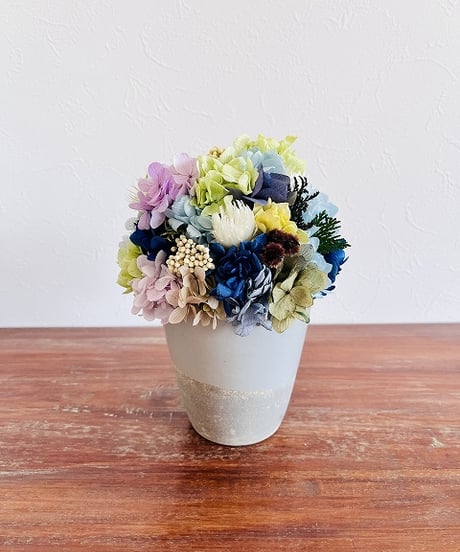 【Hydrangea / ハイドランジア】　S  　アイス