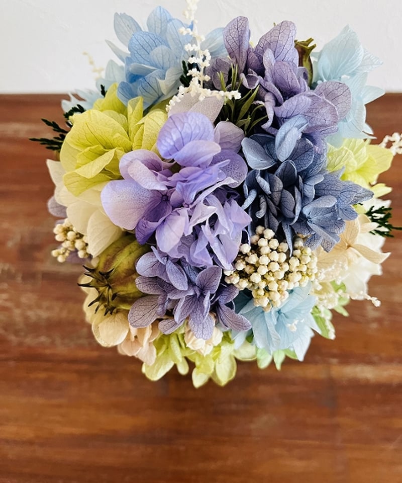 Hydrangea / ハイドランジア】 S オーシャン | Little Gardener