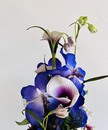 【oh flowers / オーフラワーズ】　Look from all angles   /  Vanda ヒスイラン