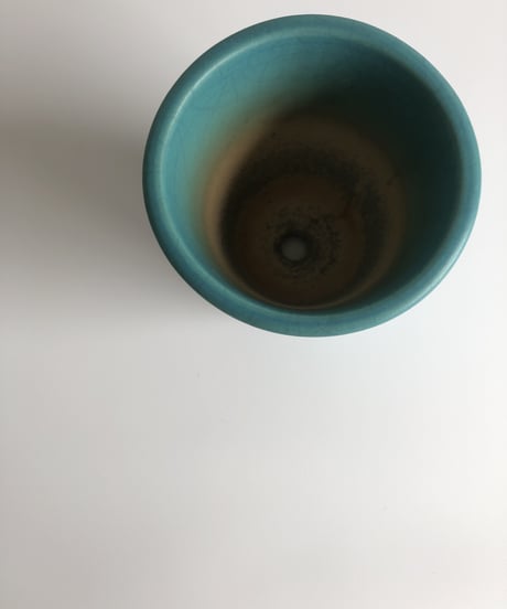 turquoise / ターコイズ   （型/パロット）