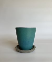 turquoise / ターコイズ   （型/パロット）