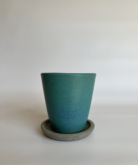 turquoise / ターコイズ   （型/パロット）