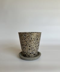 chic / シック（型/パロット）