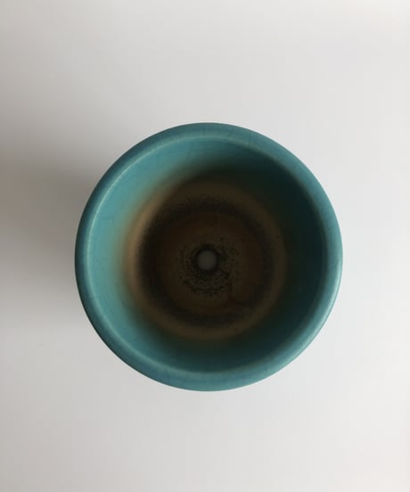 turquoise / ターコイズ   （型/パロット）