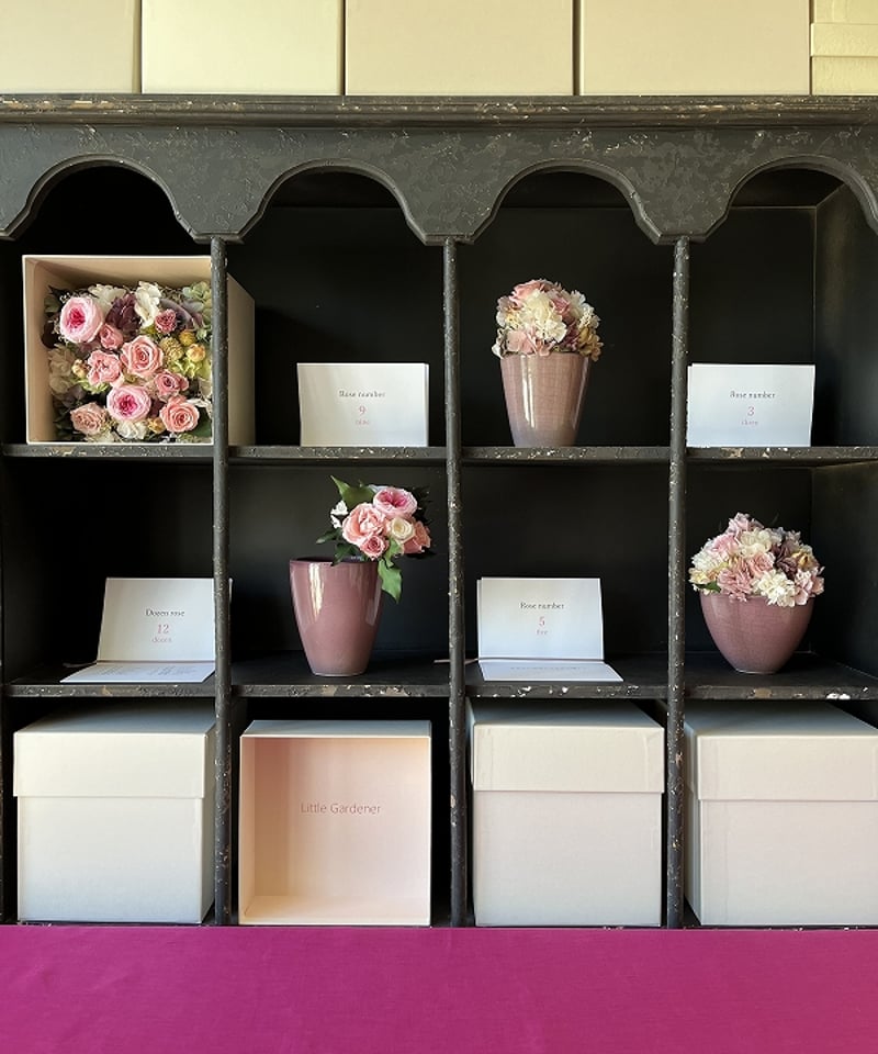 ○Dozen rose / ダズンローズ 12本のバラの花 （ピンク / ブーケタイプ