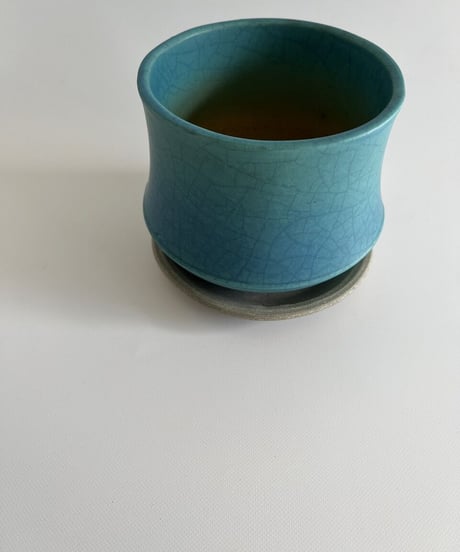 turquoise / ターコイズ    （型/ミニスワン）