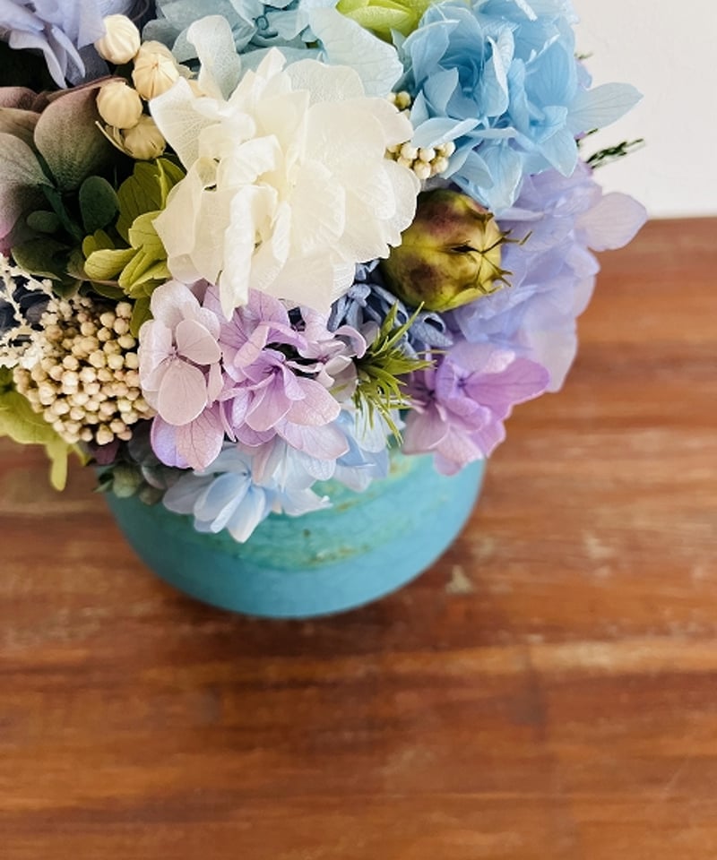 Hydrangea / ハイドランジア】 L オーシャン | Little Gardener