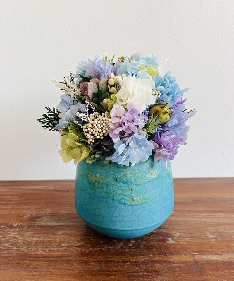 Hydrangea / ハイドランジア】 L オーシャン | Little Gardener