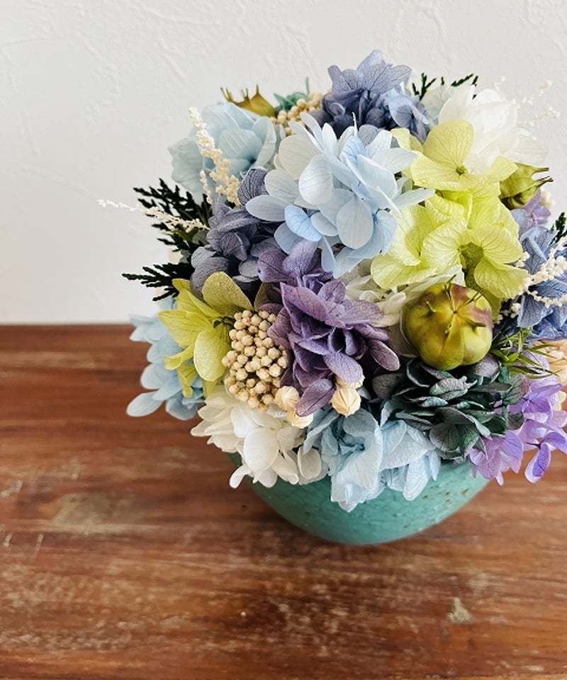 ハイドランジア　マグノリア　HYDRANGEA Bobo® Hydrangeas for Sale | BrighterBlooms.com