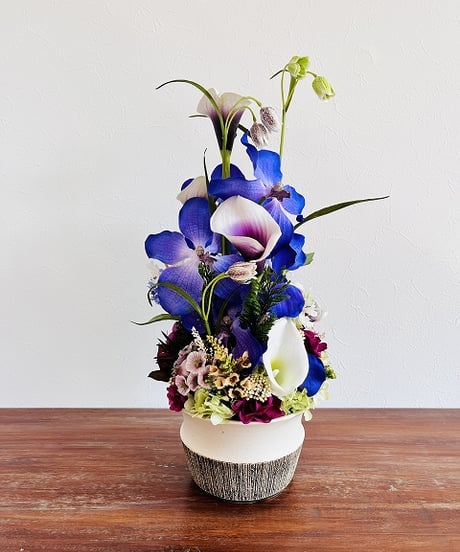 【oh flowers / オーフラワーズ】　Look from all angles   /  Vanda ヒスイラン