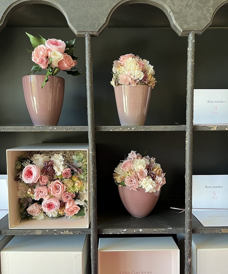 ○Dozen rose / ダズンローズ 12本のバラの花 （ピンク / ブーケタイプ