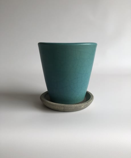 turquoise / ターコイズ   （型/パロット）